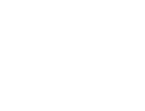 Two Squirrels Press